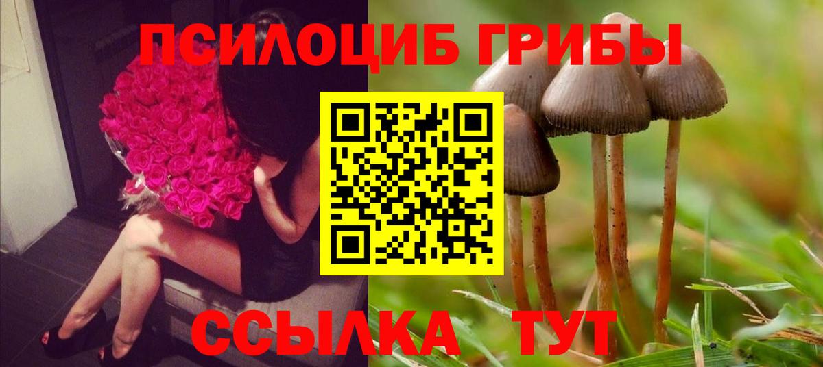 Псилоцибиновые грибы ЛСД  Псилоцибиновые грибы Magic Shrooms  Красный Сулин  Вход с VPN 